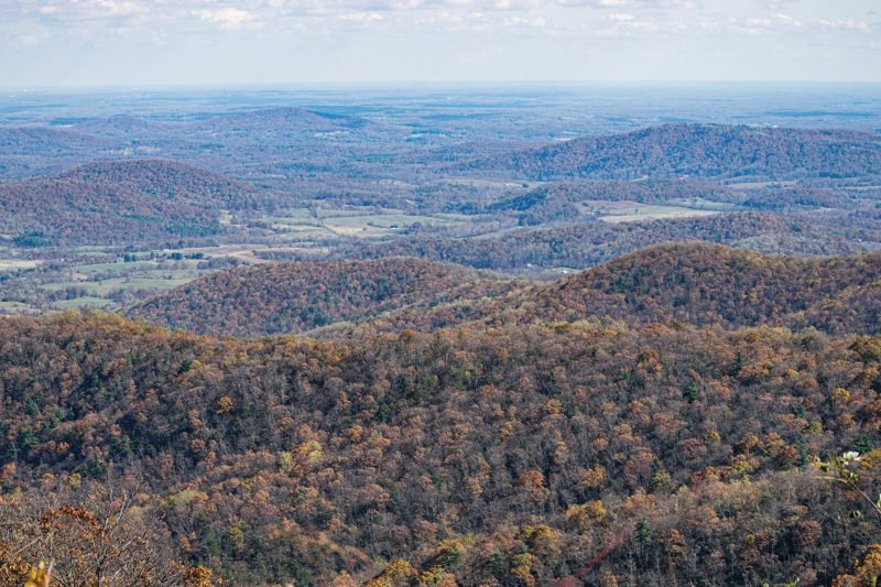 Foothills in autumn color seen from above