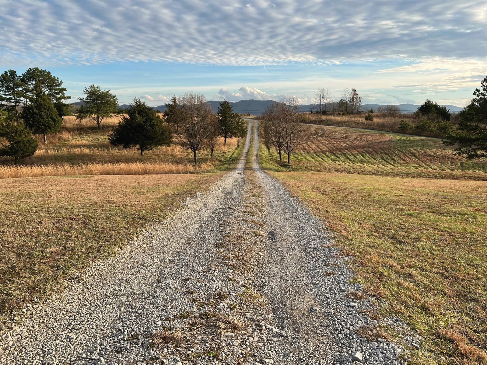 Long gravel drive through open fields toward low hills